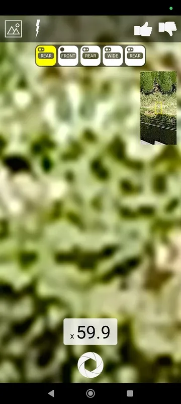 Maximum Zoom screenshot