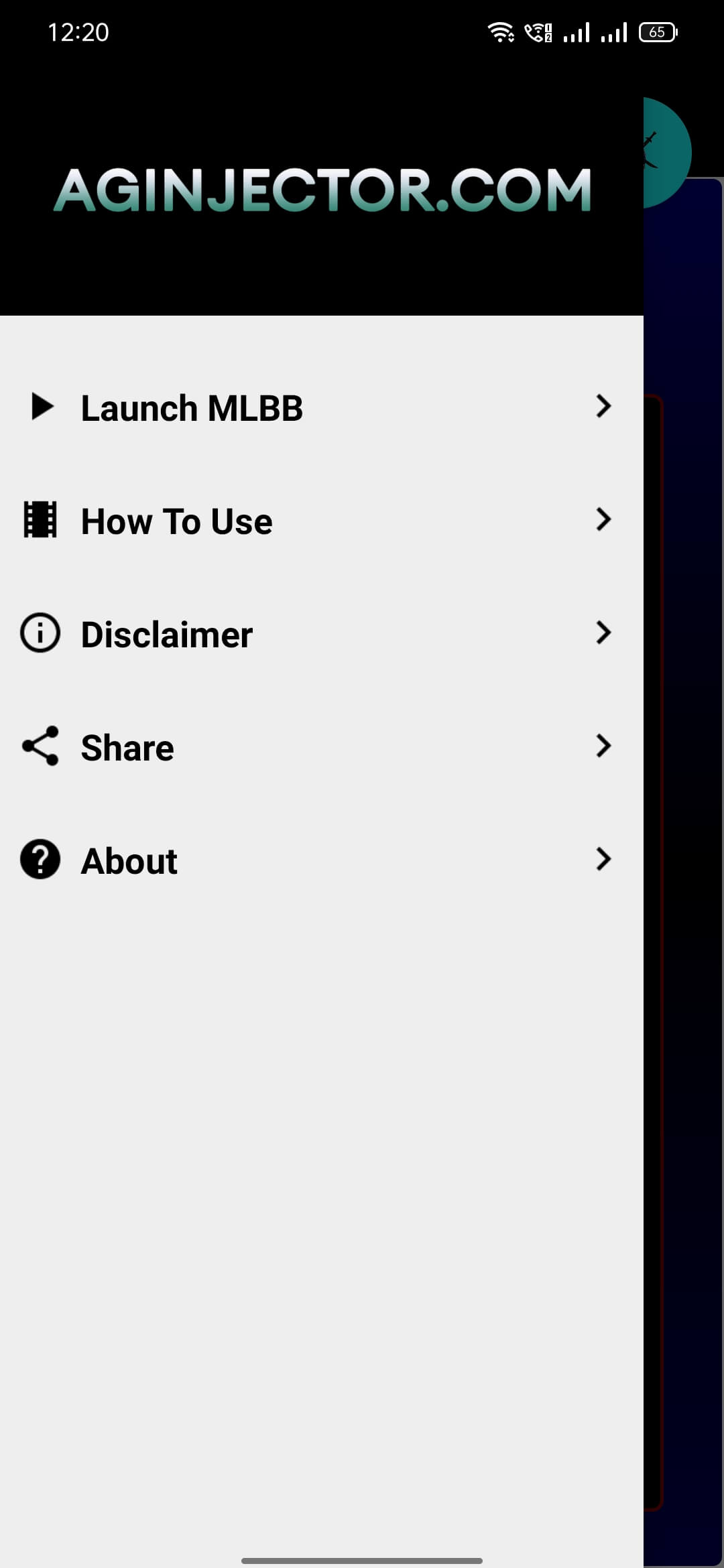 AG Injector screenshot