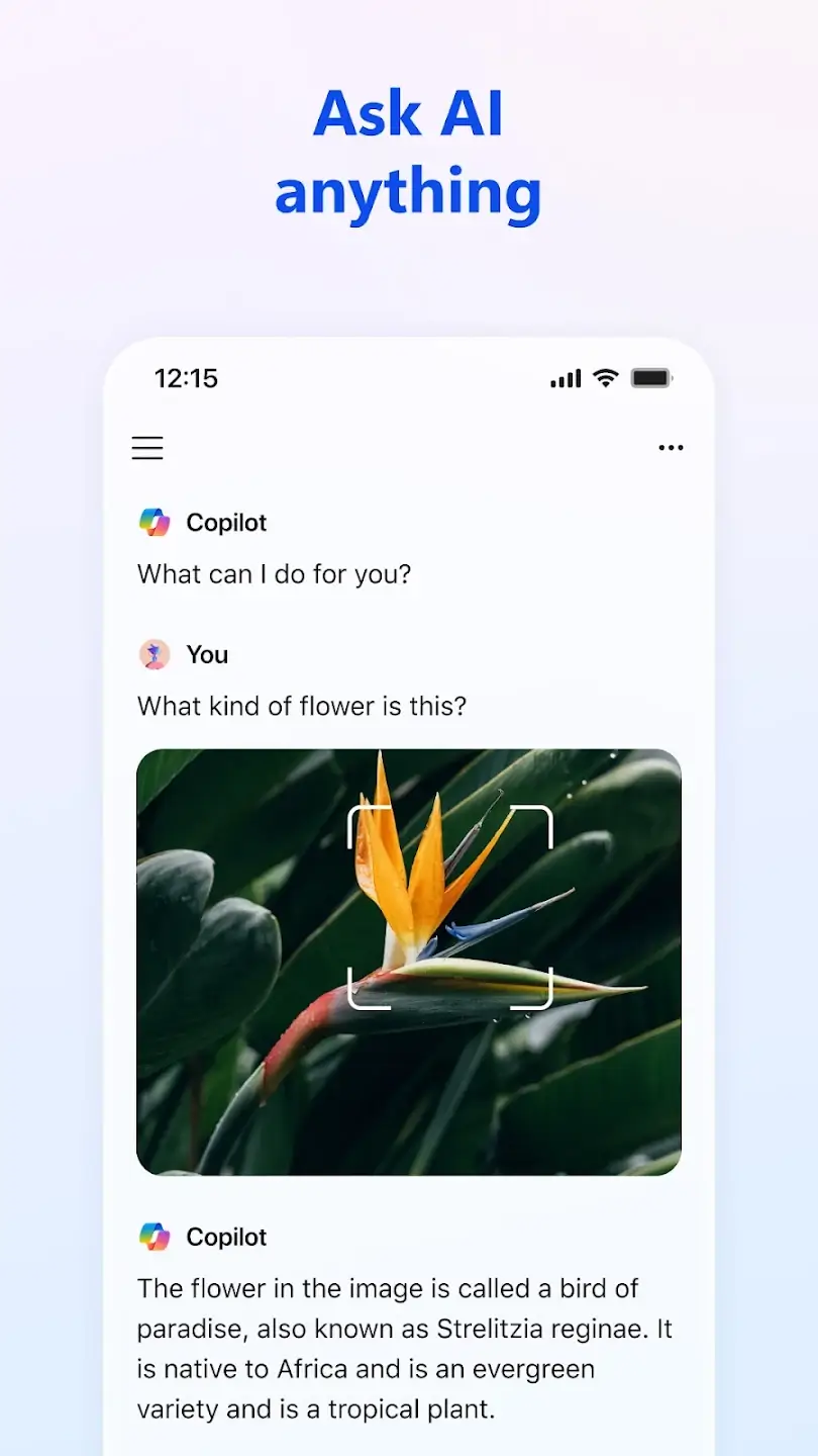 Microsoft CoPilot screenshot