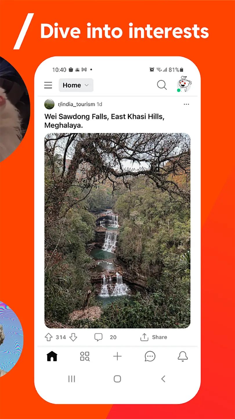 Reddit screenshot