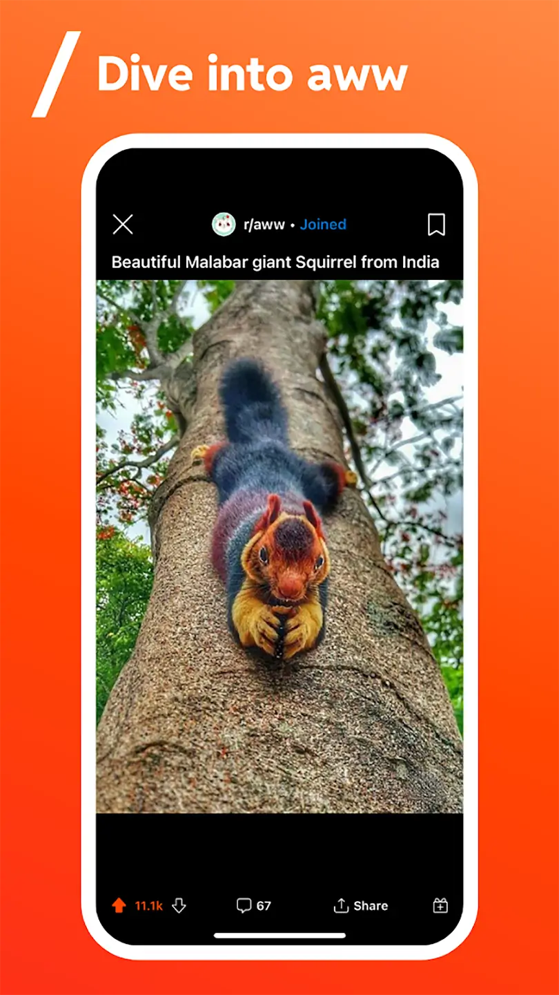 Reddit screenshot