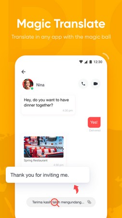 U Dictionary screenshot