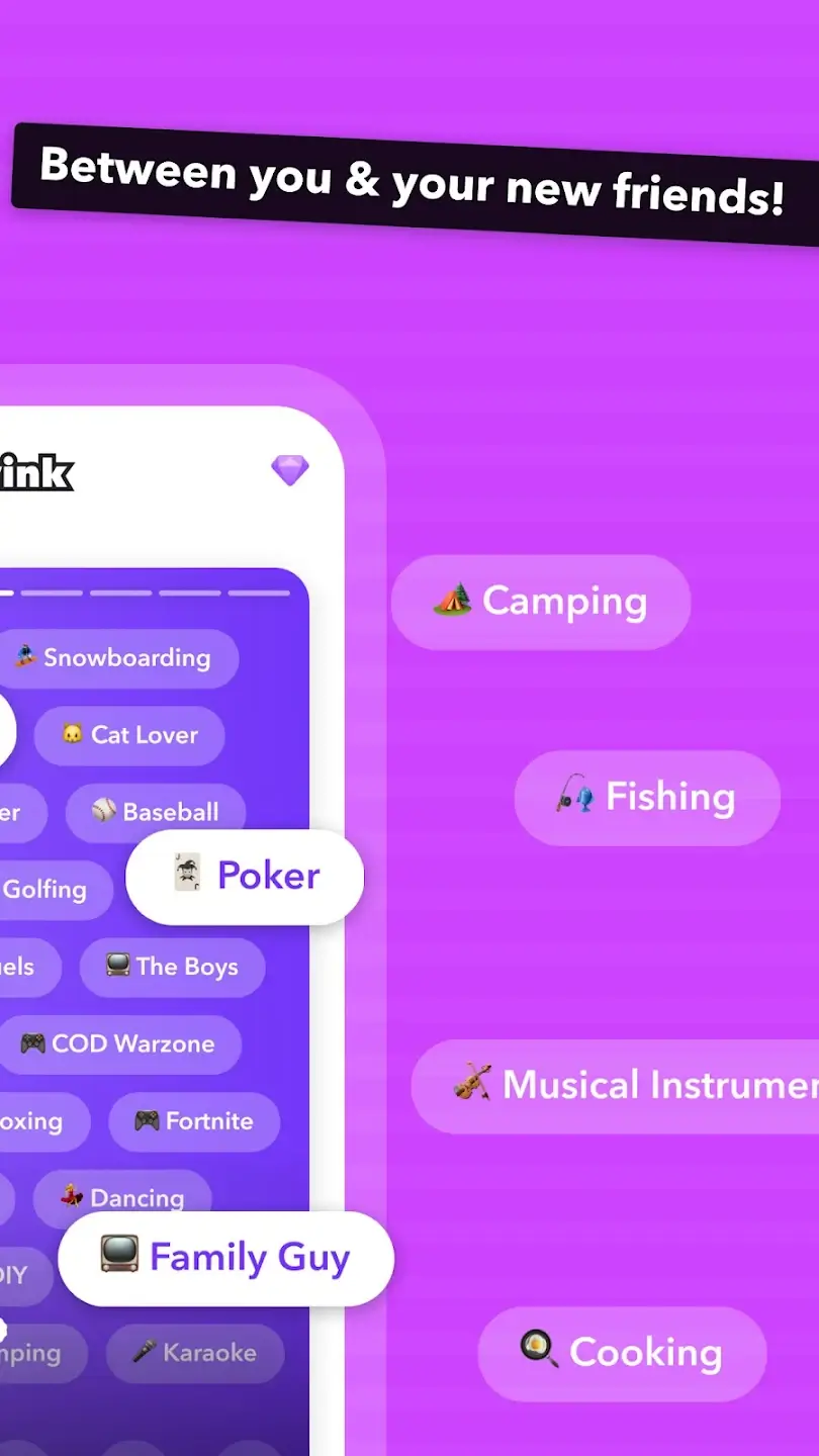 Wink screenshot